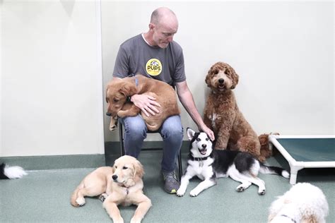 Pups pet club - CALL US NOW 312-971-7080. Info. Our Story; Blog; Contact Us; FAQs